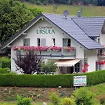Pensjonat Gaestehaus Ursula 3*