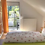 Gaestehaus Ursula 3* Hornberg