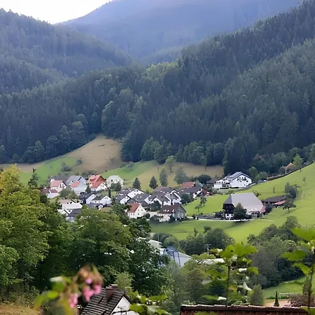 Gaestehaus Ursula Pensión Hornberg