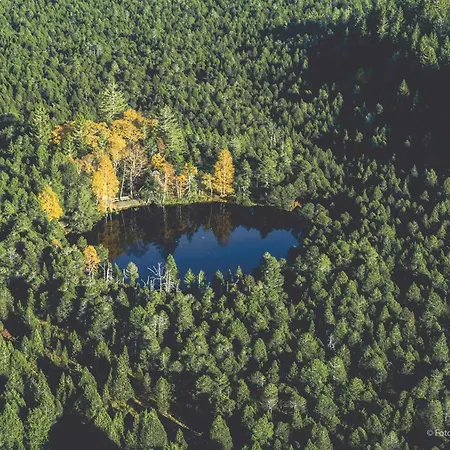 Affittacamere Gaestehaus Ursula 3*