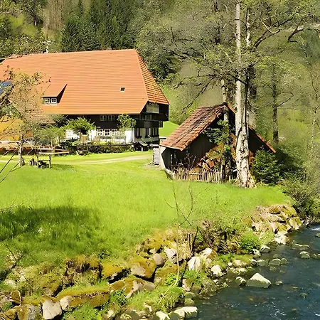 Gaestehaus Ursula Affittacamere Niederwasser