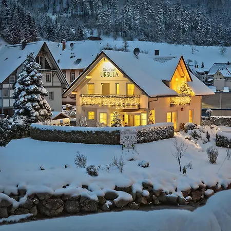 Gaestehaus Ursula Хорнберг