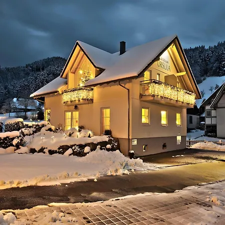 Gaestehaus Ursula Pensionat 3*
