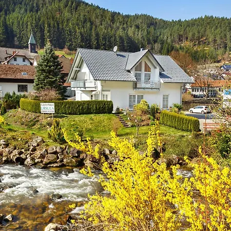 Gaestehaus Ursula Pensionat Hornberg