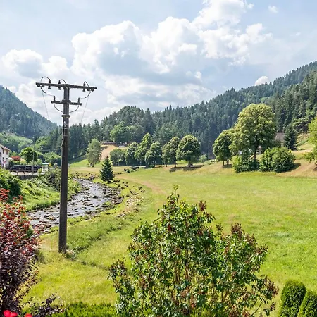 Gaestehaus Ursula Pensionat Hornberg