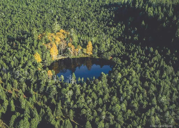 Konukevi Gaestehaus Ursula 3*