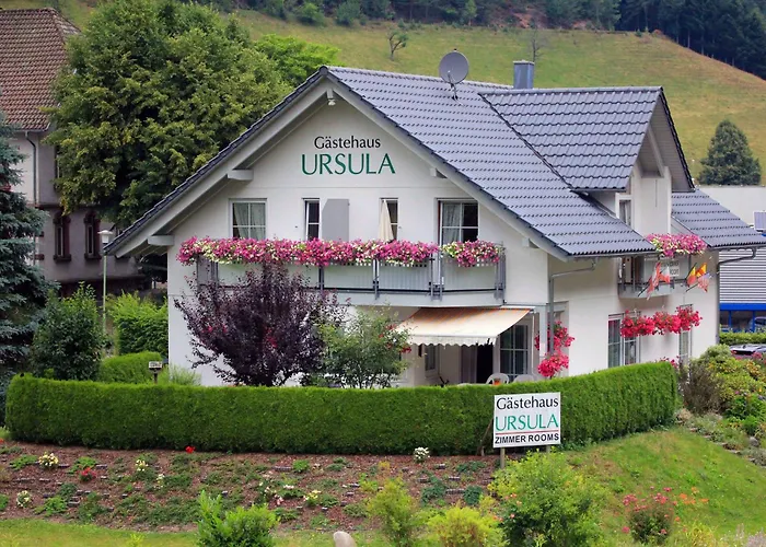 Gaestehaus Ursula Konukevi 3*